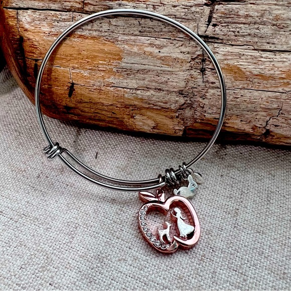 Disney Poison Apple Snow White silvertone rose gold tone bracelet bangle - Picture 6 of 6